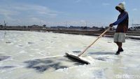 Petani Garam Surabaya Curhat Pendapatan Berkurang