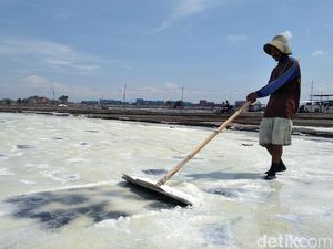 Pemerintah Siapkan 3 Lokasi Ladang Garam di Pulau Sumbawa Pemerintah Siapkan 3 Lokasi Ladang Garam di Pulau Sumbawa