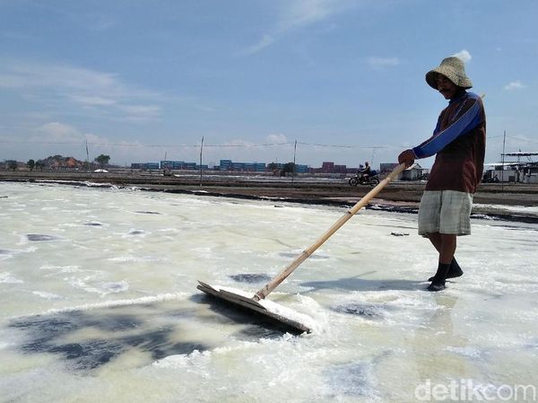 Petani Garam Surabaya Curhat Pendapatan Berkurang
