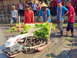 8 Negara Anggota FAO Intip Sistem Pertanian di Indonesia