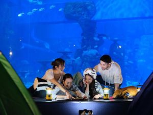 Mau Menginap di Bawah Laut? Yuk, Mampir ke Jakarta Aquarium Mau Menginap di Bawah Laut? Yuk, Mampir ke Jakarta Aquarium
