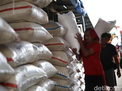 Harga Beras Medium Tembus Rp 11.000/Kg