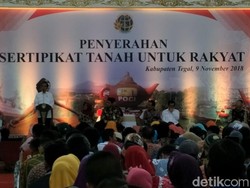 Jokowi Keluarkan SK Perhutanan Sosial, Petani: Tak Was-was Lagi
