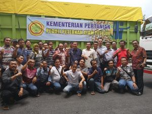 Peternak Ayam Apresiasi Kementan Fasilitasi Distribusi Jagung