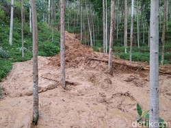 Longsor di Gunung Butut Kabupaten Bandung, Puluhan Warga Mengungsi