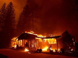 Deretan Seleb Hollywood yang Kena Dampak Kebakaran California