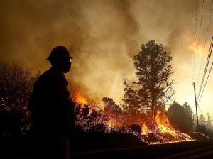 Kebakaran di California, Kim Kardashian hingga Lady Gaga Ikut Mengungsi