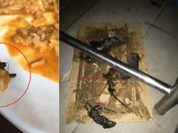 Jijik! Kantin di Universitas Malaysia Ini Kotor dan Dipenuhi Tikus
