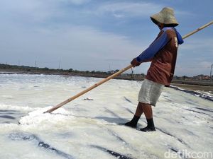 RI Harus Pacu Produksi Garam 3 Kali Lipat Buat Capai Swasembada