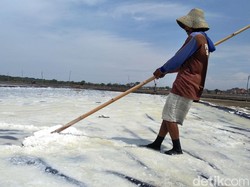 RI Harus Pacu Produksi Garam 3 Kali Lipat Buat Capai Swasembada