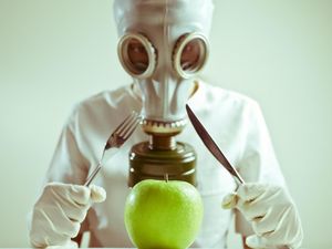 Ini Kasus Kejahatan dan Kematian yang Disebabkan Oleh Makanan Ini Kasus Kejahatan dan Kematian yang Disebabkan Oleh Makanan