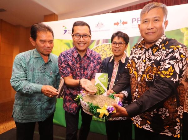 Ewindo Luncurkan Benih Kacang Hijau