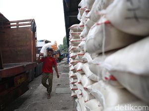 Pedagang Sebut Operasi Pasar Bikin Harga Beras Turun Pedagang Sebut Operasi Pasar Bikin Harga Beras Turun