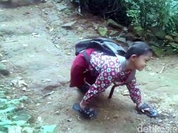 Bocah Difabel yang Merangkak ke Sekolah Ingin Jumpa Jokowi