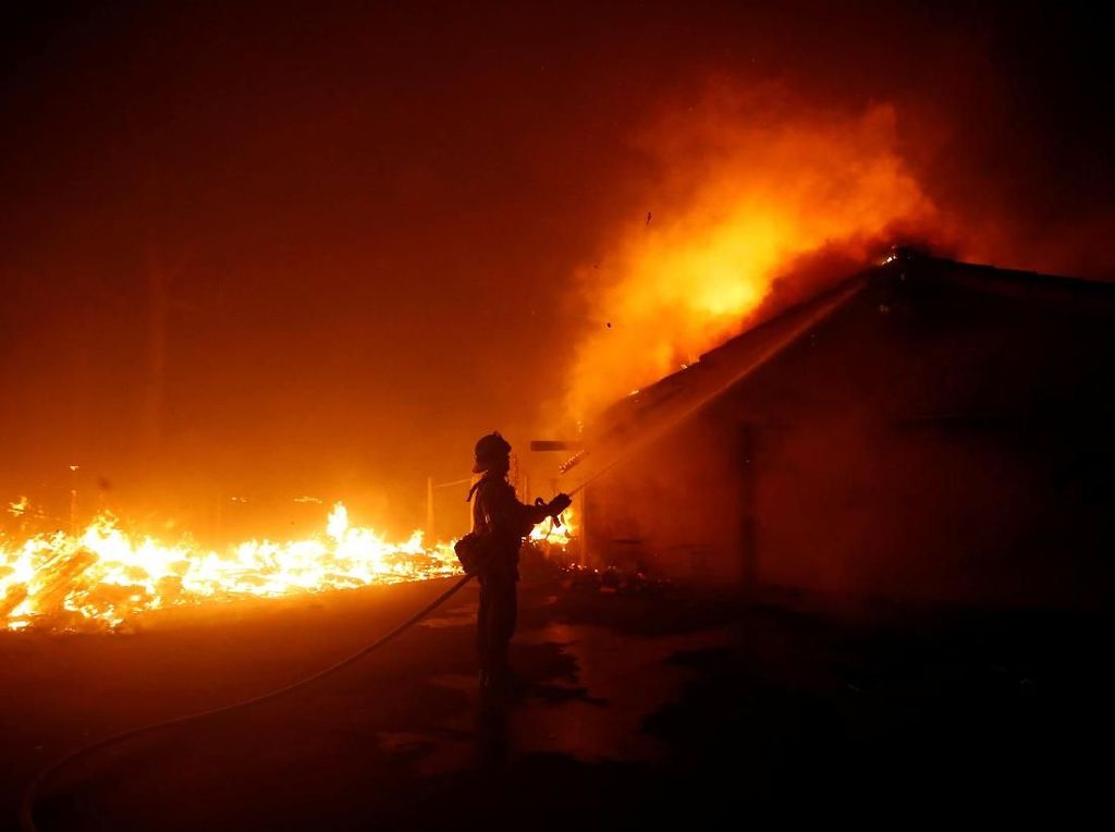 California Dilanda Kebakaran, Trump: Pengelolaan Hutan Buruk