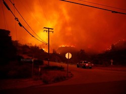 Kebakaran Hutan di California Tewaskan 9 Orang, 150 Ribu Mengungsi