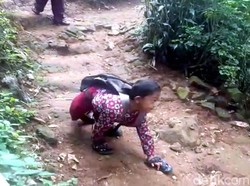 Kisah Adul, Merangkak 3 Km ke Sekolah dan Mimpi Jumpa Jokowi