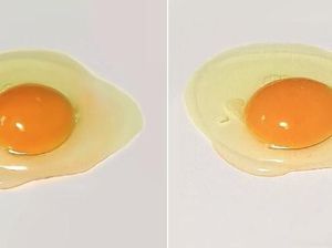 Ayo Tebak! Mana Lukisan Telur dan Telur Mentah Asli?