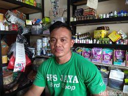 Jualan Pakan Burung, Pria Ini Raup Rp 5 Juta Sehari