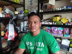 Jualan Pakan Burung, Pria Ini Raup Rp 5 Juta Sehari