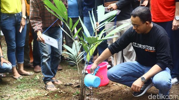 Momen Anies Tanam Buah Salak di Hari Ciliwung