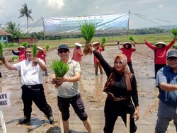 Kementan: Petani Adalah Pahlawan Pangan