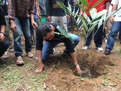 Hadiri Hari Ciliwung di Condet, Anies Tanam Buah Salak