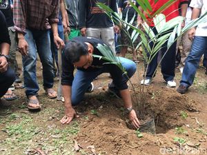Hadiri Hari Ciliwung di Condet, Anies Tanam Buah Salak Hadiri Hari Ciliwung di Condet, Anies Tanam Buah Salak