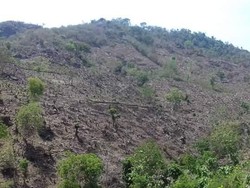Alih Fungsi Lahan Geopark Tambora, Diduga Sebabkan Banjir Bandang