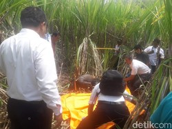 Kakek Sarikin Ditemukan Tak Bernyawa di Kebun Tebu Kudus