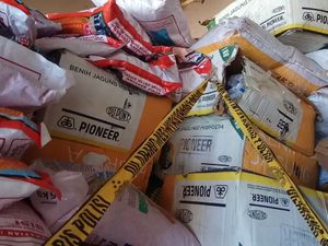 Penyelundup 2,8 Ton Bibit Jagung Pemerintah Ditangkap di Bone Penyelundup 2,8 Ton Bibit Jagung Pemerintah Ditangkap di Bone