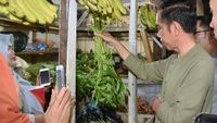 Blusukan ke Pasar Cihaurgeulis, Jokowi Belanja Ubi, Kangkung dan Bayam