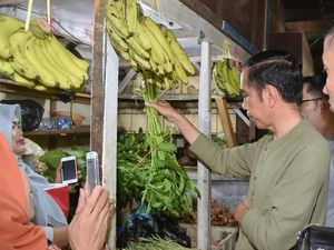 Blusukan ke Pasar Cihaurgeulis, Jokowi Belanja Ubi, Kangkung dan Bayam Blusukan ke Pasar Cihaurgeulis, Jokowi Belanja Ubi, Kangkung dan Bayam