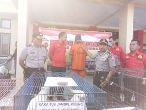 Jual Landak dan Kukang, Mahasiswa di Majalengka Dibui