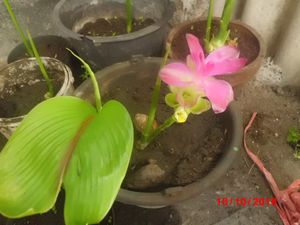 Hidup Sehat dengan Swamedikasi Hidup Sehat dengan Swamedikasi