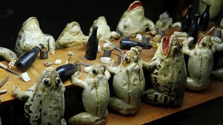 Foto: The Frog Museum di Swiss (REUTERS/Denis Balibouse)