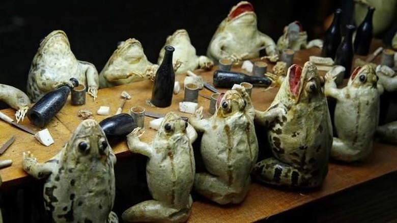 Foto: The Frog Museum di Swiss (REUTERS/Denis Balibouse) Foto: The Frog Museum di Swiss (REUTERS/Denis Balibouse)