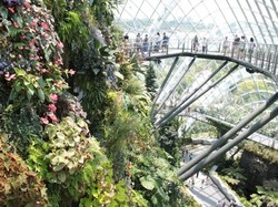 Taman Kaca Terindah di Singapura