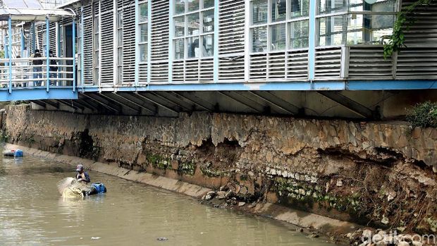 Sejumlah warga tengah menjaring ikan sapu-sapu di kali Anak Ciliwung, Jakarta. Sekitar 40 kg ikan berhasil dikumpulkan.
