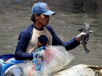 Serunya Menjaring Ikan Sapu-Sapu di Kali Anak Ciliwung
