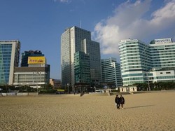 Damainya Pagi di Haeundae Beach, Busan