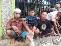 Warga Makassar Temukan Buaya Terperangkap Jaring Dekat PLTU