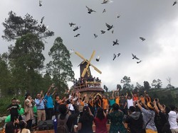 Peken Edelweis, Satu Lagi Destinasi Digital di Bali