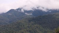 6 Taman Nasional Indonesia yang Membuatmu Makin Mencintai Alam