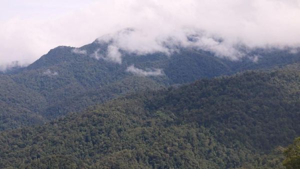 6 Taman Nasional Indonesia yang Membuatmu Makin Mencintai Alam