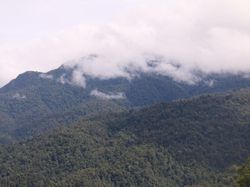 Fakta-fakta Aceh Selatan yang Bupatinya Umrah saat Rakyat Didera Banjir