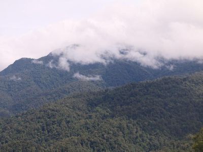 6 Taman Nasional Indonesia yang Membuatmu Makin Mencintai Alam
