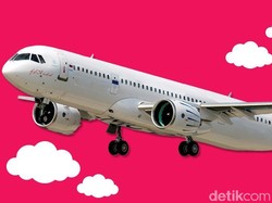 Ini Alasan Pengadilan Tak Pailitkan Merpati