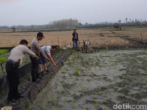 Tragis! Petani Ngawi Tewas Kesetrum Jebakan Tikus di Sawahnya Sendiri