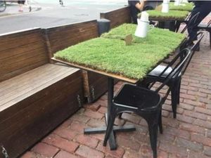 Taruh Rumput di Atas Meja, Restoran Ini Bikin Pengunjung Kesal